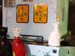 -猫咪博物馆(顶澳仔猫街店)