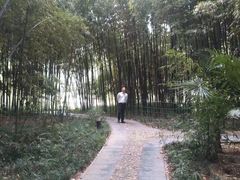 -河南省黄河迎宾馆