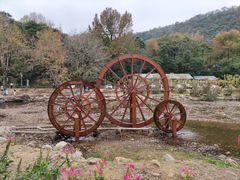 -广州市石门国家森林公园