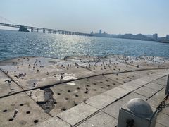 -星海广场
