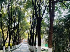 -合肥野生动物园