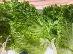 -清真军邺·金富苑肥牛(石坡街旗舰店)
