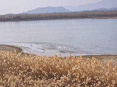 -青龙湖公园