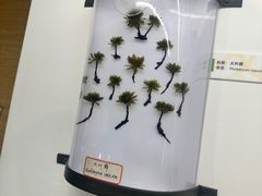 -浙江自然博物院(杭州馆)