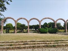 -鹅湖玫瑰文化园