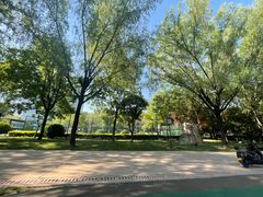 -唐城墙遗址公园