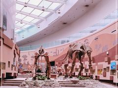 -陕西自然博物馆