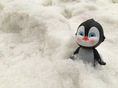 -绍兴启迪乔波冰雪世界
