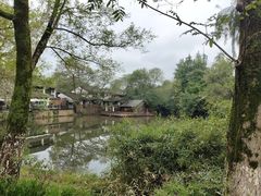 -西溪国家湿地公园