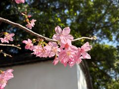-乌山风景区