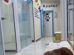 -全心全意连锁动物医院·微创中心·内科急重症·心脏专科(丰管路店)