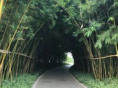 -筼筜书院