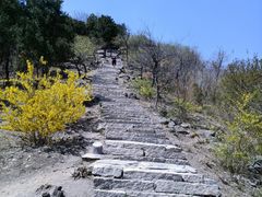 -鬼笑石后山停车场