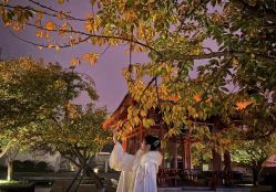 点击看大图 -浮生梦·百里长安汉服体验·化妆造型(永宁门skp店)