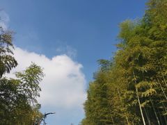 -径山寺