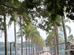 -南宁南湖公园