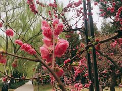 -元大都城垣遗址公园