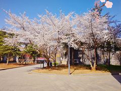 -北京工商大学(良乡校区)