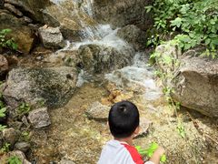 -大岭沟猕猴桃谷风景区