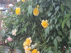 -张记焖窑·十五年专注焖烤(雍和宫店)