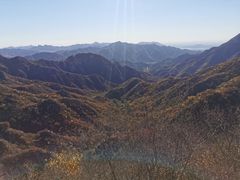 -大岭沟猕猴桃谷风景区