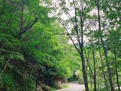 -洛阳白云山景区