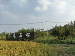 -嘉北郊野公园