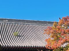 -香山公园