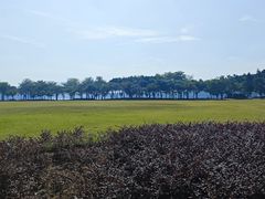 -顺峰山公园