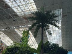 -望儿山温泉水乐园