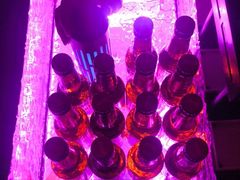 -轩 SUPER LIVE 超级现场(农科路店)