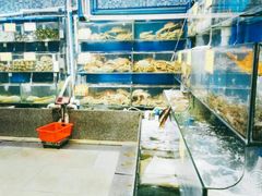 水产区-蚝专家(北滘店)