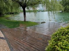 -天鹅湖体育公园