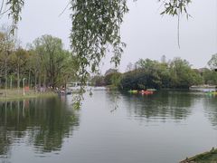 -新江湾城公园