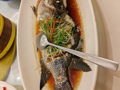 -骏莱海鲜鱼港(五角场店)