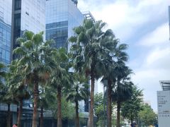 -广州绿地中央广场