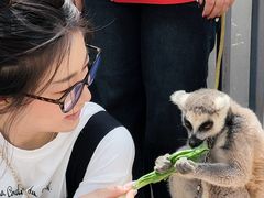 -水上乐园·欢乐世界