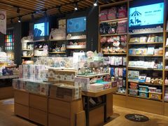 -九木杂物社(东方宝泰店)