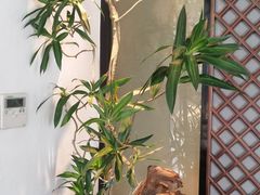 -子福慧(虹桥店)