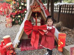 -HERRE·FARM 赫尔露营农场·团建聚会包场