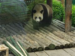 -大连森林动物园