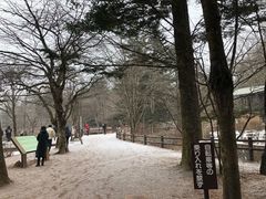 -轻井泽高原教堂