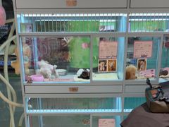 -FAELING PETS美天灵宠物(合生汇店)