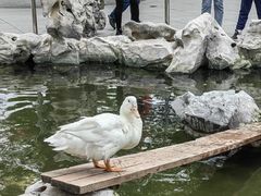 -静安公园(静安寺街道)