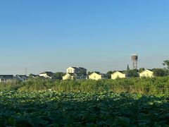 -佬土鹅肠火锅(解放路店)