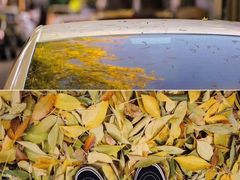-白塘生态植物园