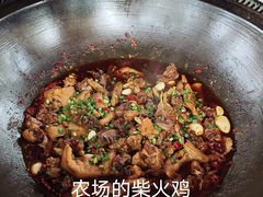 -洪湖家庭农场·团建·露营·会议
