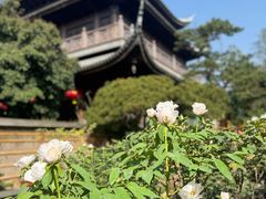 -龙华寺