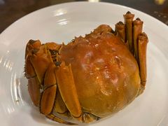 -应天大明王朝·南京菜(中山陵店)