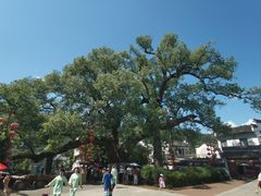 -新安江山水画廊风景区